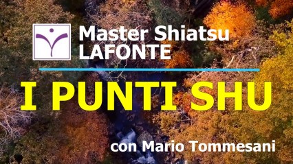 2. copertina I PUNTI SHU